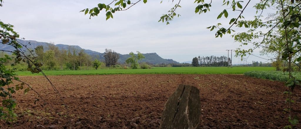 DIA declaración de impacto ambiental