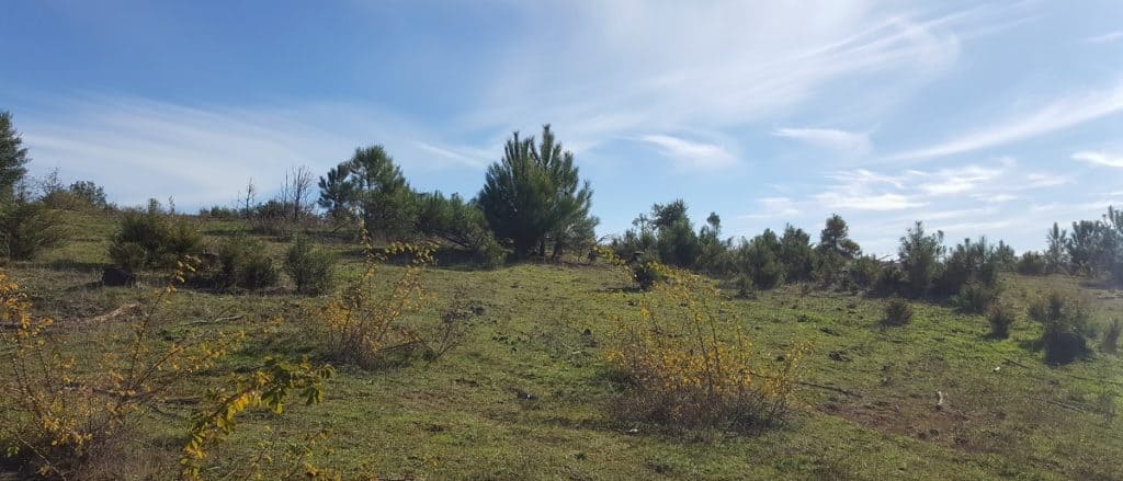 Trámite medio ambiental